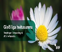 Hvítusunna: Broytingar í innsavningini