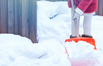 jlamaur savnar posar minni 209x139